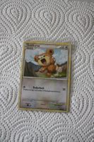 teddiursa - Pokemon Heartgold Soulsilver Entfesselt