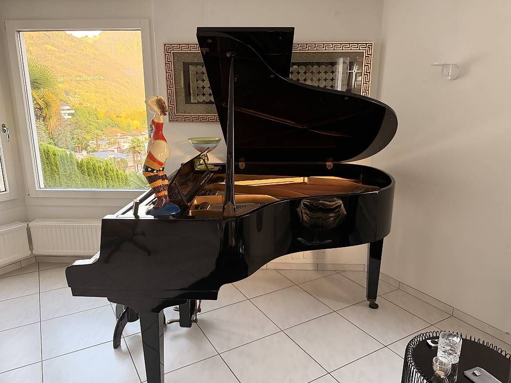 Strumenti musicali: Petrof Flügel hochglanz – Usato da Weggis venduto da urs_rj7p 2