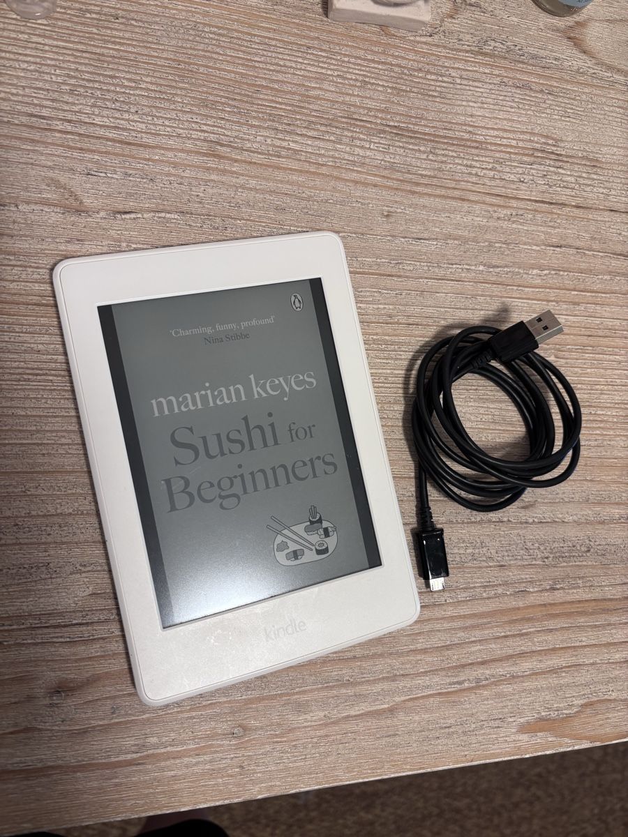 Amazon Tablet PC: Kindle Paperwhite (7th generation) – Usato da Dübendorf venduto da cpichon