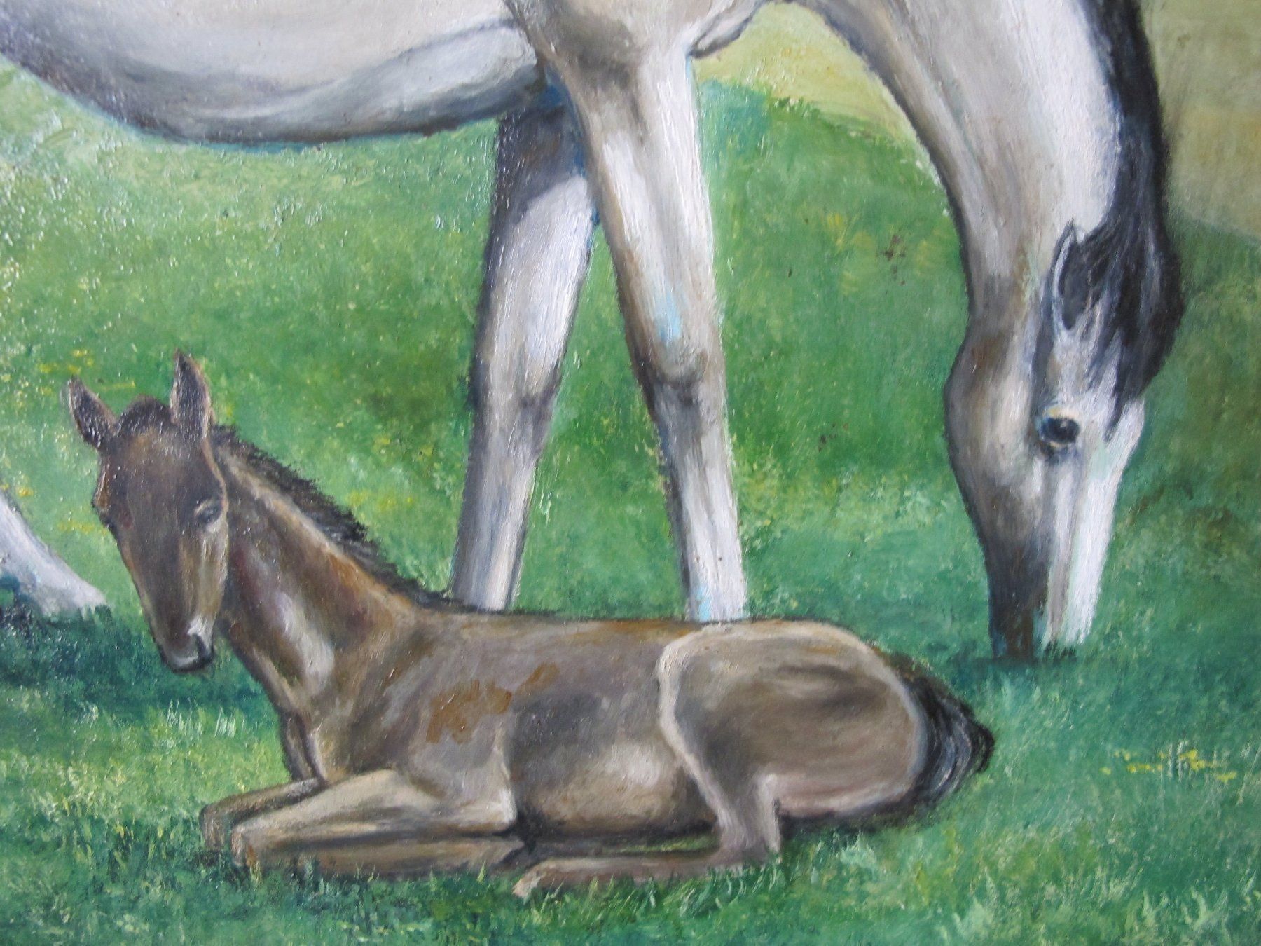 Dipinti: Bild Landschaft Mit Pferde Gemalt – Usato da Altnau venduto da LinaAuktion 4
