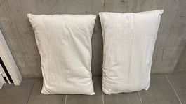 Coppia guanciali cotone 