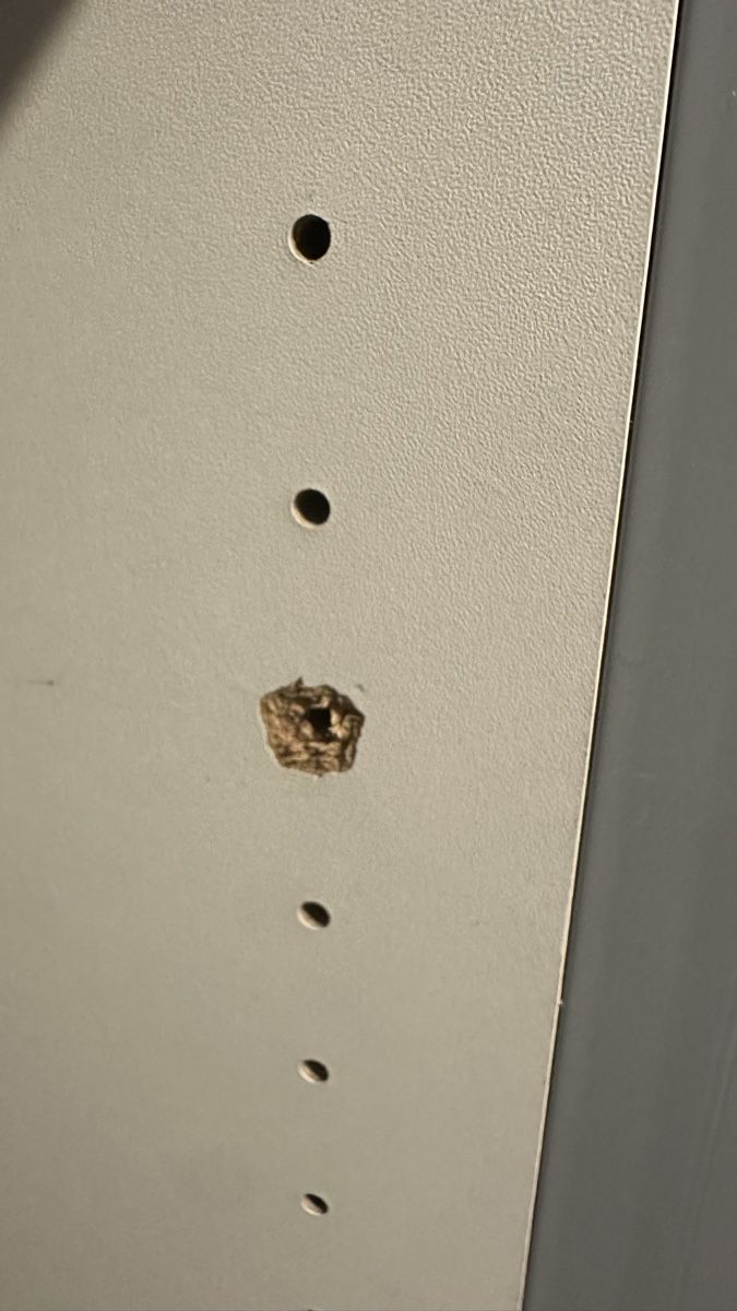 Armadi: kleiderschrank – Usato da Wittenbach venduto da sevidubach 3