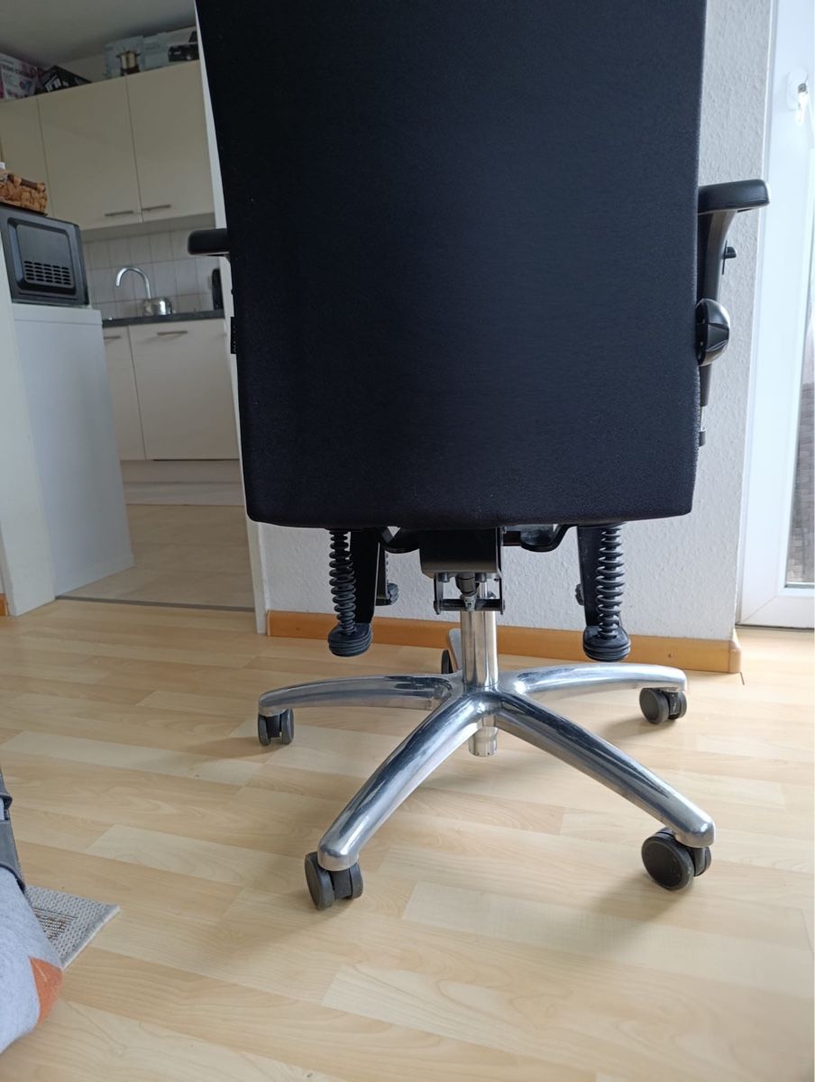 Sedie: Orthopädischer Bioswing Bürostuhl – Nuovo (secondo la descrizione) da Basel venduto da ste_jr9g 3