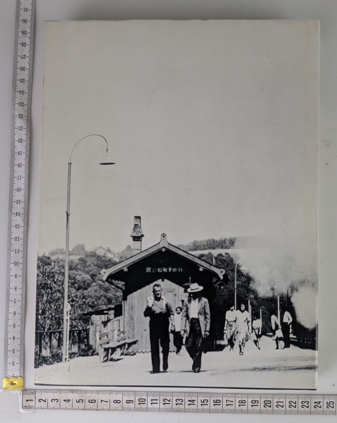 Bücher: Dampfbetrieb der Schweizer Eisenbahnen 1847-1966, Moser – Gebraucht aus Zürich von axolottchen 3
