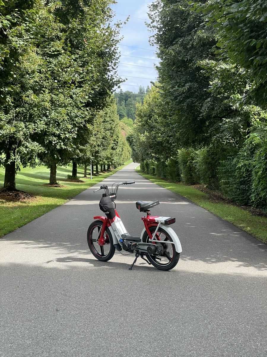 Ciclomotori: Piaggio Ciao – Usato da Winterthur venduto da Nino_155qv 2