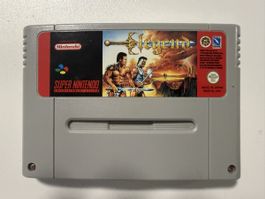 Legend – Beat'em up médiéval-fantastique rare sur SNES