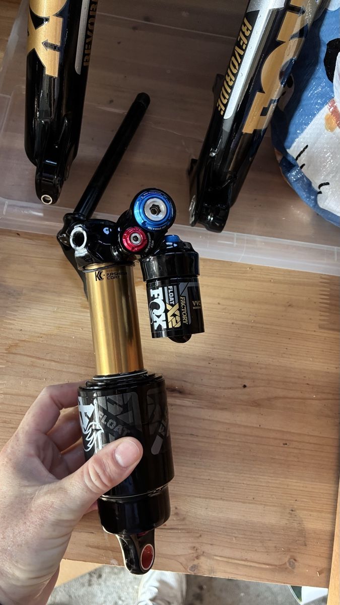 Lapierre Velos: Lapierre Spicy CF 8.9  – Gebraucht aus Locarno von CG1114 6