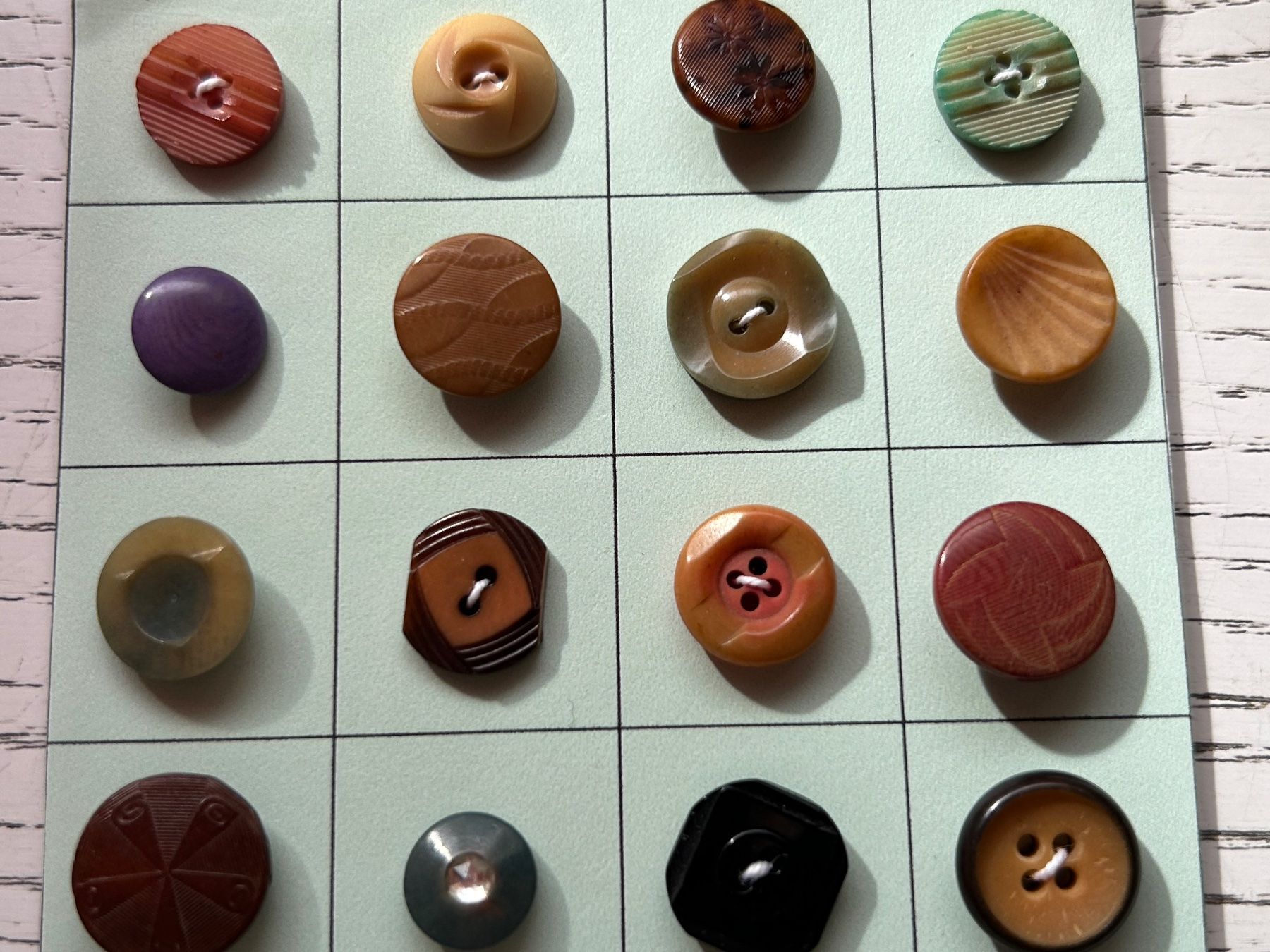 Bottoni: Steinnussknöpfe (Tagua Nut) – Nuovo (secondo la descrizione) da Pfeffingen venduto da Alusru70 3