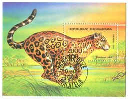 Block "Jaguar". Madagaskar.