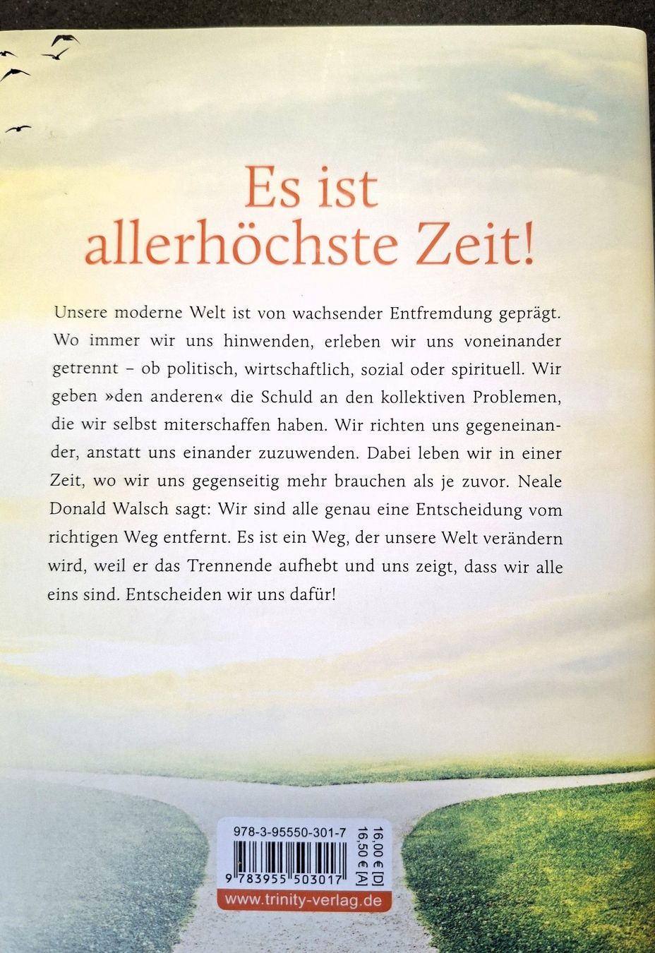 Libri: N. Walsch  ENTSCHEIDE DICH JETZT – Usato da Jegenstorf venduto da ladoga66 1