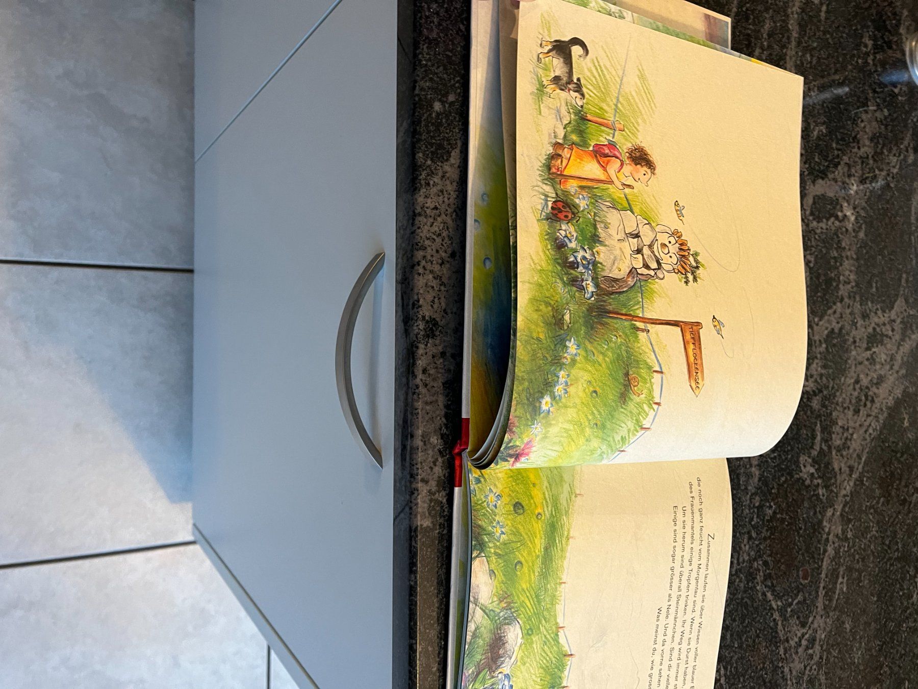 Libri: Kinderbuch, "Zauberkind" Sandra Schuster & Rita Polajnar Top – Usato da Zürich venduto da Roulet 3