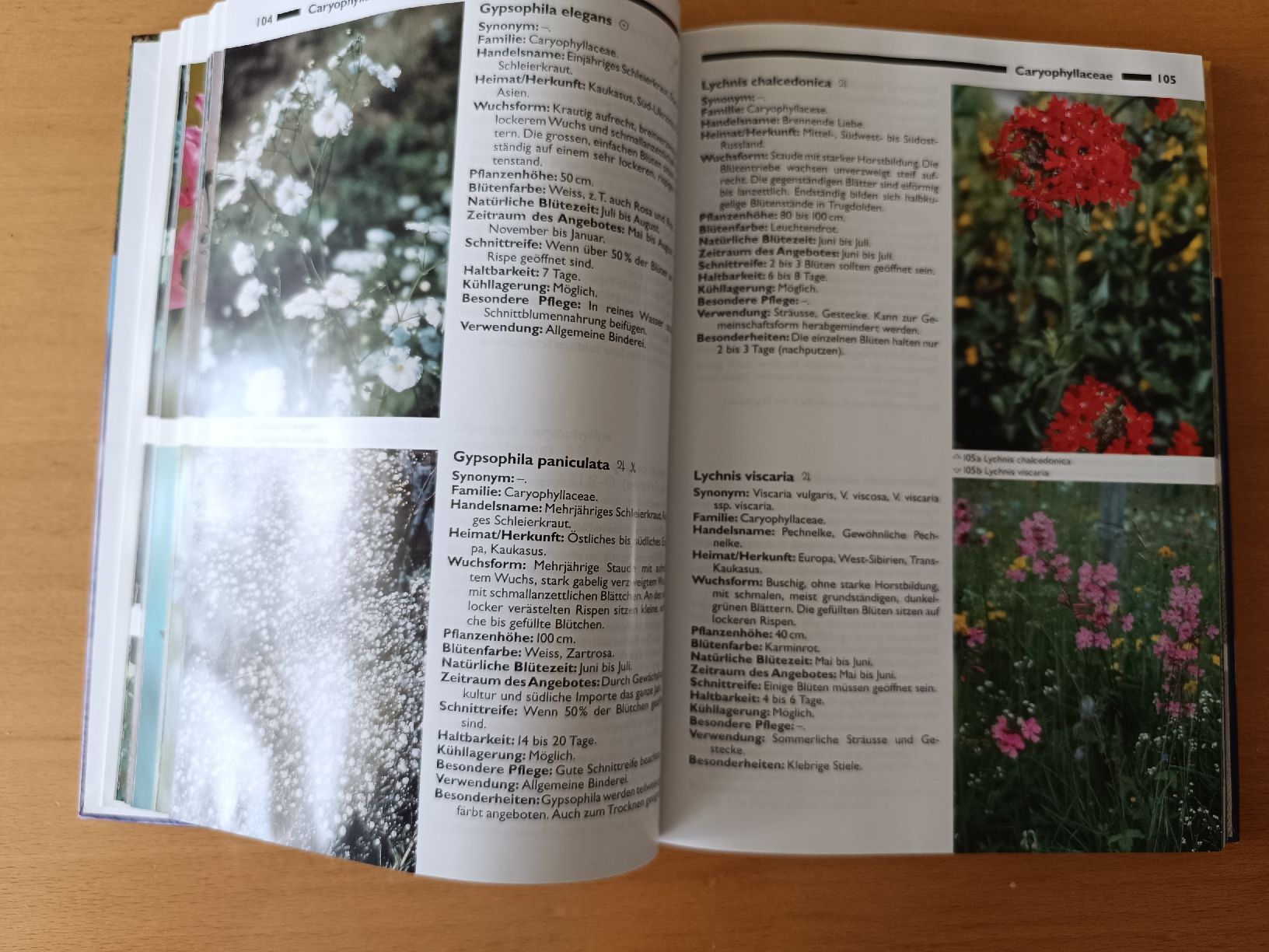Bücher: Bildatlas Schnittblumen, Floristik  – Gebraucht aus Stans von bdml1 2
