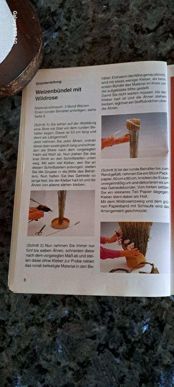 Libri: Getreide-Gräser-Blumen, Floristik, Geiger – Usato da Plagne venduto da Reticulum01 8