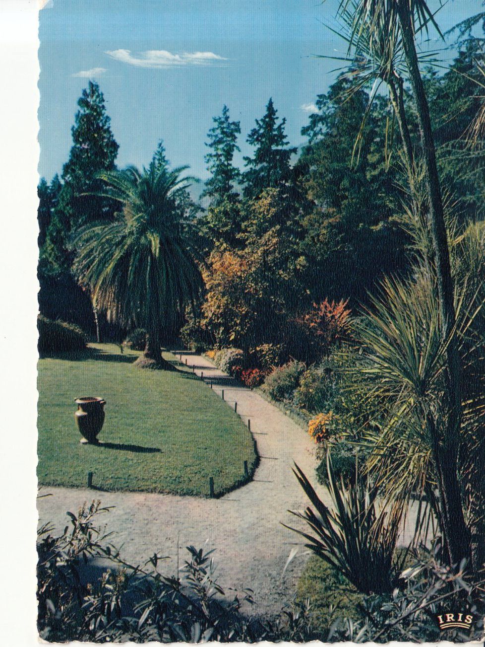 Cartoline postali: Brissago 1965 – Usato da Bürglen TG venduto da StampGraf