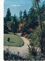 Brissago 1965