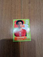 Panini CAN17