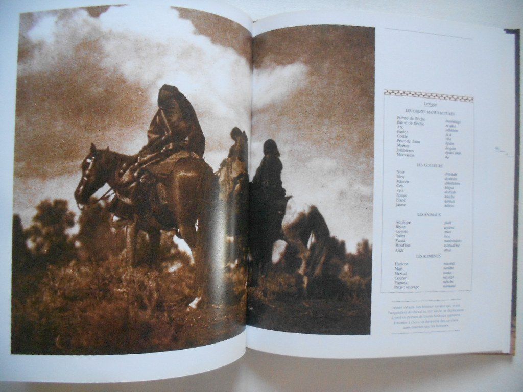 Libri: LES APACHES – Usato da Bex venduto da Giorgiob 4