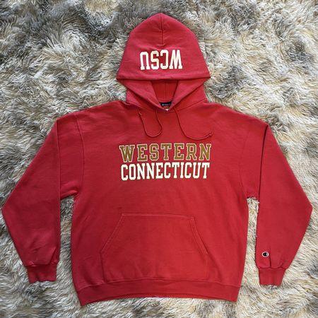 Pullover von Champion