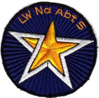 Schweizer Militär; Badge / LW Na Abt 5