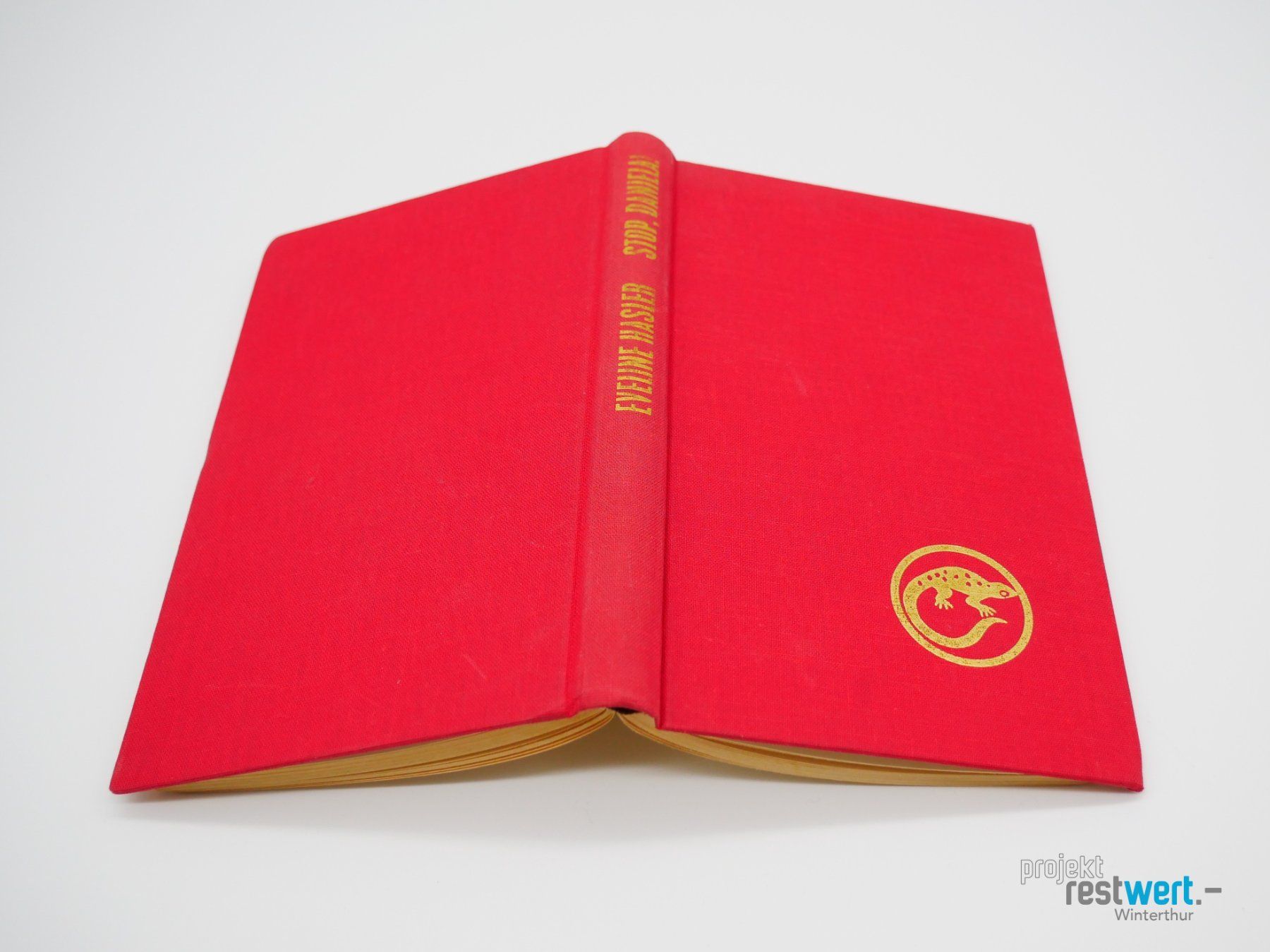 Libri: EVELINE HASLER - Stop, Daniela ! – Usato da Winterthur venduto da Restwert_Winterthur 2