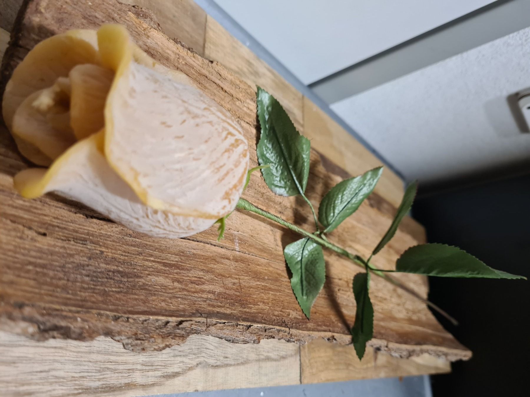 Candele: KERZEN- Langstiel Rose – Nuovo (secondo la descrizione) da Amriswil venduto da used2use 1