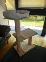Katzenbaum