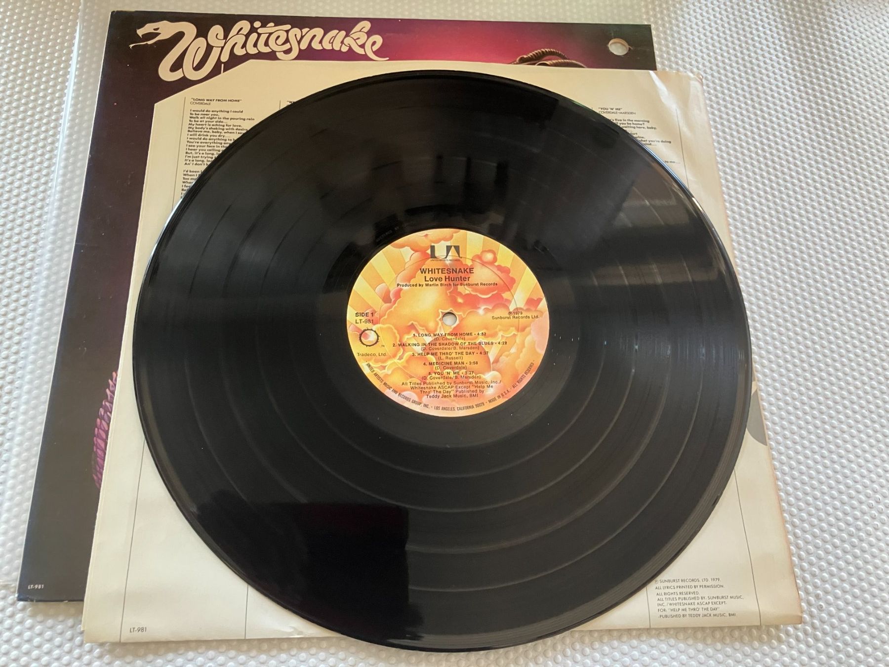 Dischi in vinile: Whitesnake – Usato da Aarwangen venduto da Jukebox3 6