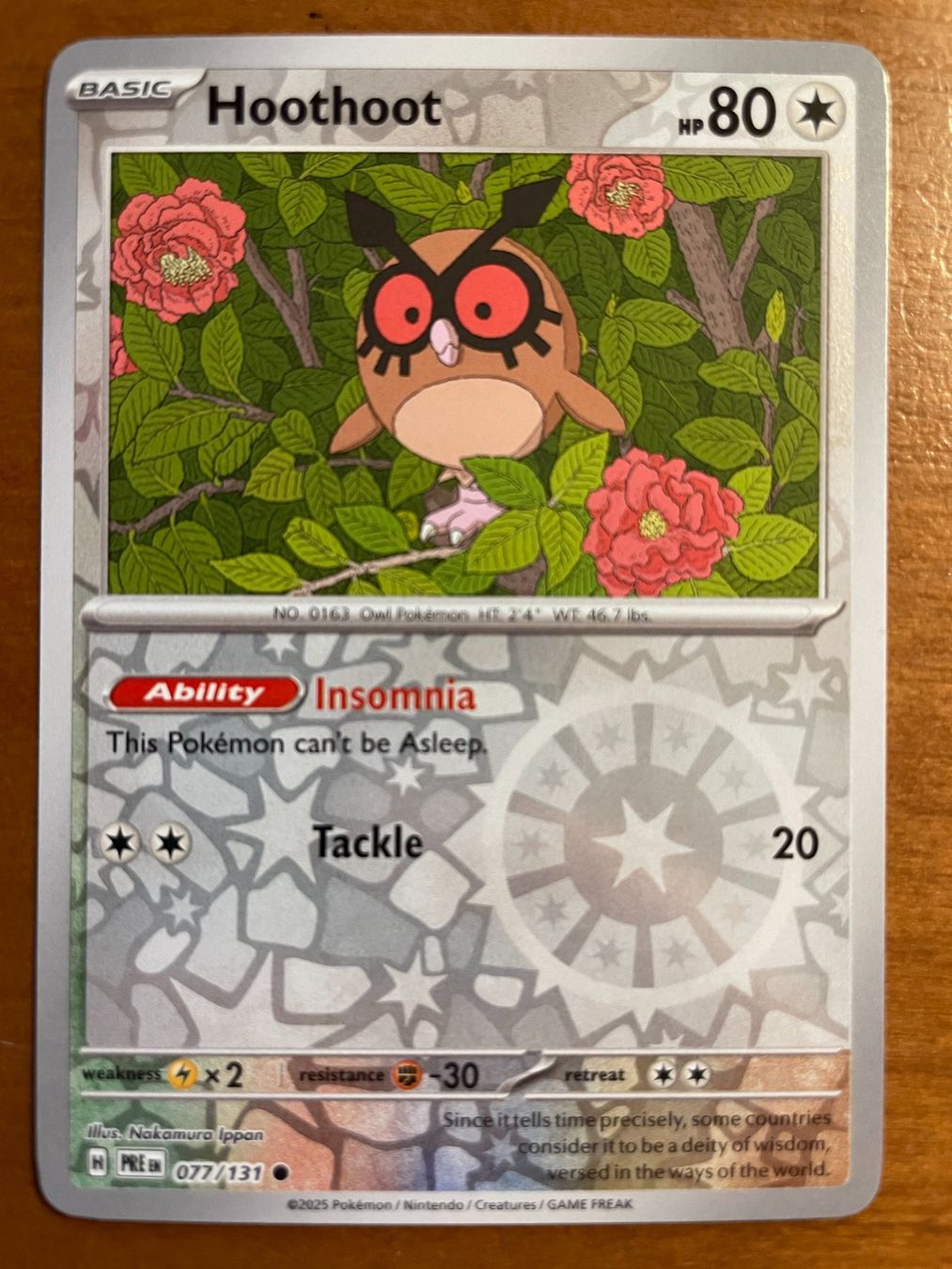 Pokémon Carte collezionabili: Pokemon Hoothoot Reverse (Versand gratis) – Nuovo (secondo la descrizione) da Chur venduto da Angerson