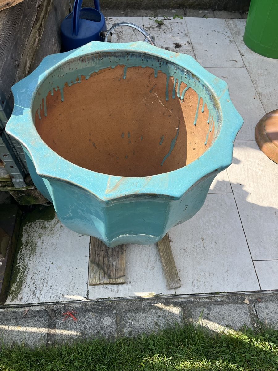 Vasi per fiori: Terra Cotta Blumen Topf – Usato da Neerach venduto da fuz_8d7l 6