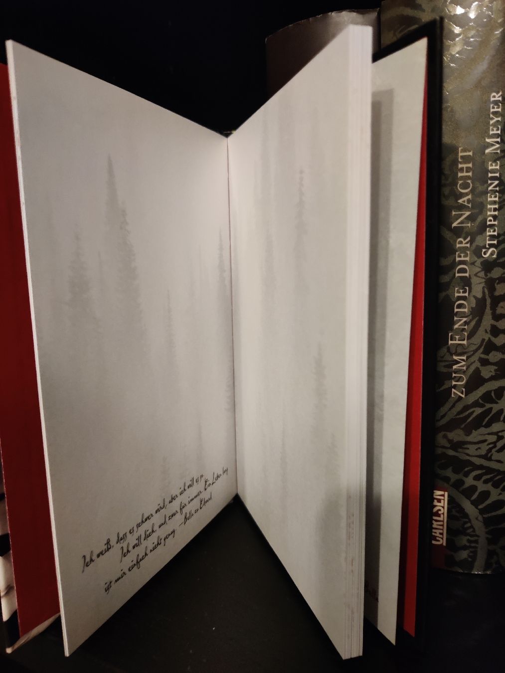 Libri: Stephenie Meyer Biss-Romane inkl. 4 Notitzbücher – Usato da Domat/Ems venduto da Shiekah2102 2