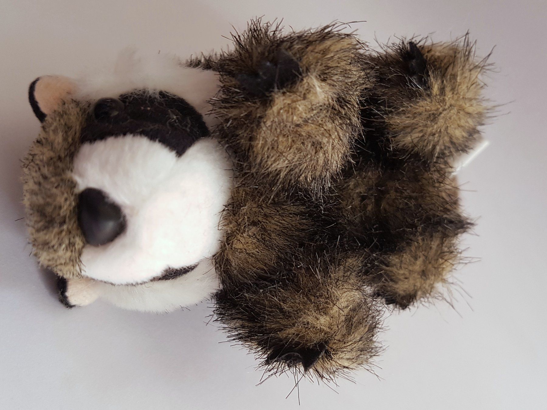 Bambole: FOLKMANIS: Fingerpuppe Waschbär  / NEU – Nuovo e nell'imballaggio originale da Dürrenäsch venduto da Didaedi 4