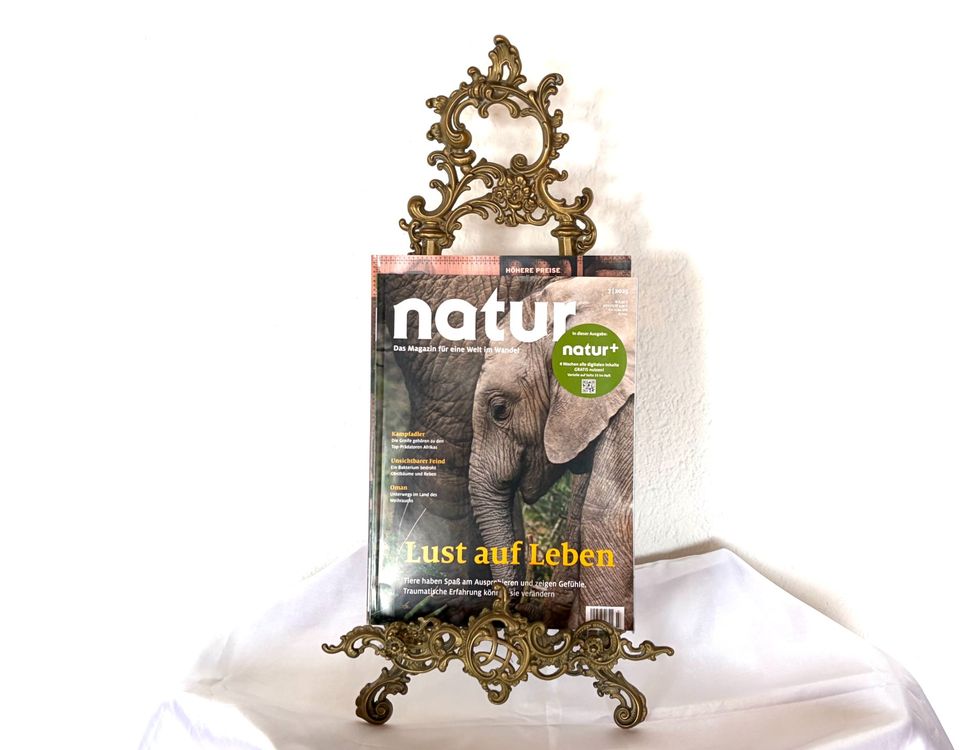 Vintage Staffelei aus Messing – dekorativ im antiken Stil (Gebraucht ...