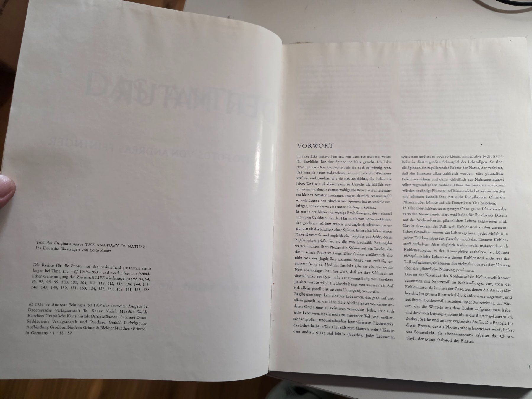 Libri: Das Antlitz der Natur - Andreas Feininger - 1957 – Usato da Walterswil BE venduto da Lonitti 6