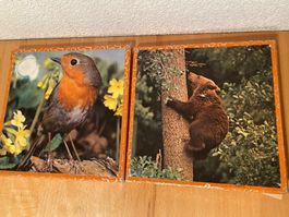 Penelope Holzpuzzle 2x25 Teile/ Vogel und Bärenjunge