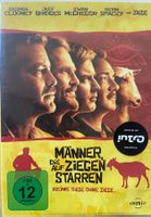 Männer die auf Ziegen starren