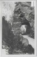 Taminaschlucht bei Ragaz