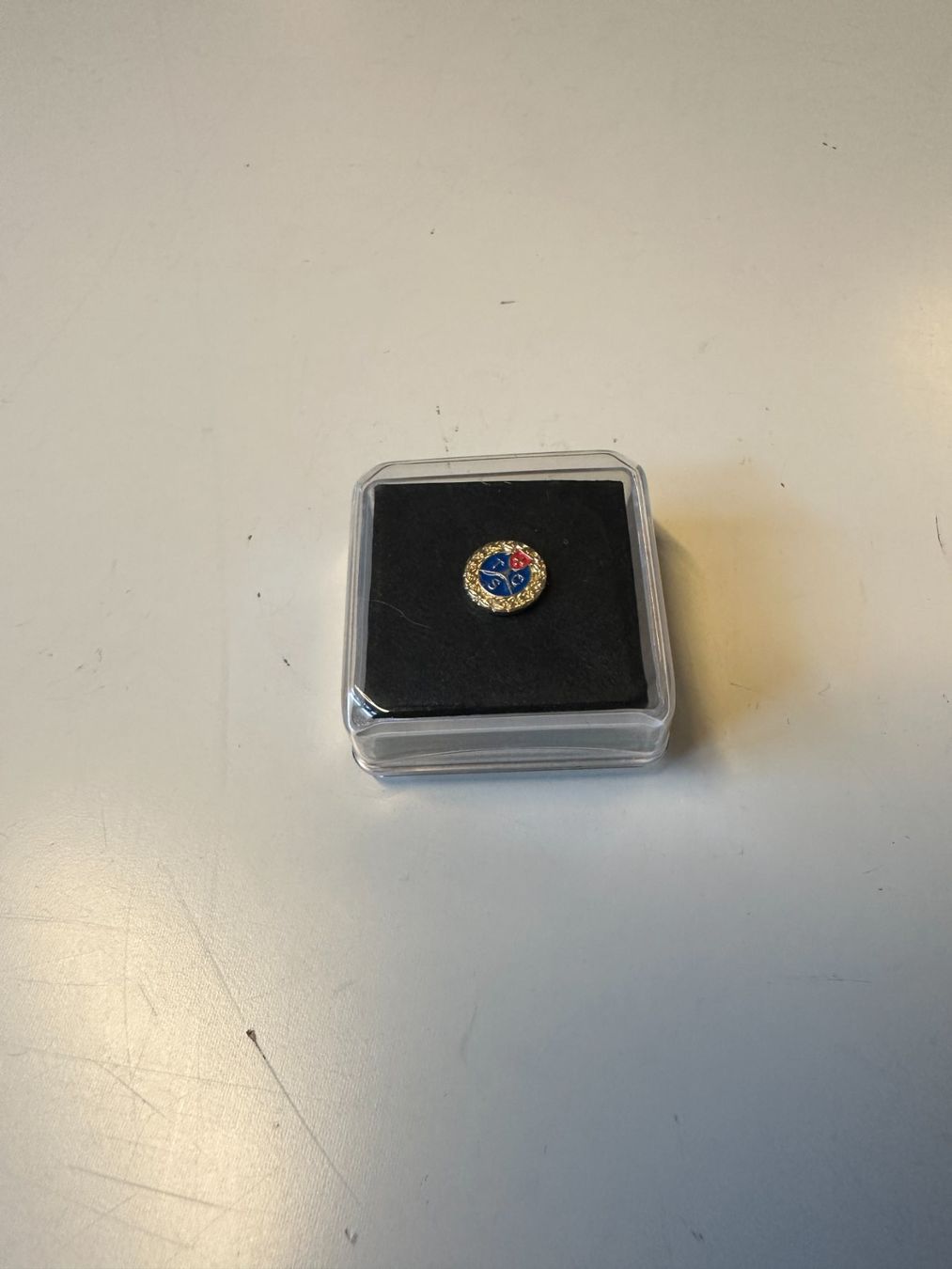 Spille & Fermagli: TCS Jubiläums Pin – Usato da Urdorf venduto da Erika666 2