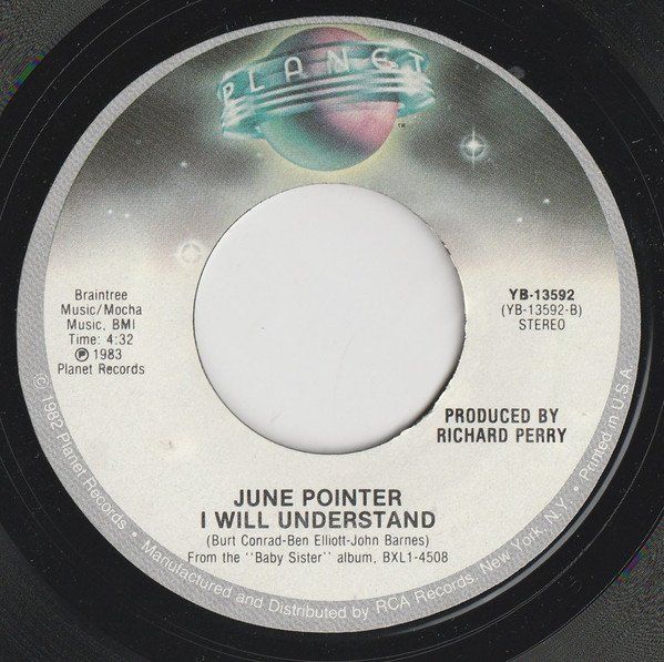 Dischi in vinile: Pointer June: Don't Mess With Bill 7" – Usato da Steinhausen venduto da Vilivinili 1
