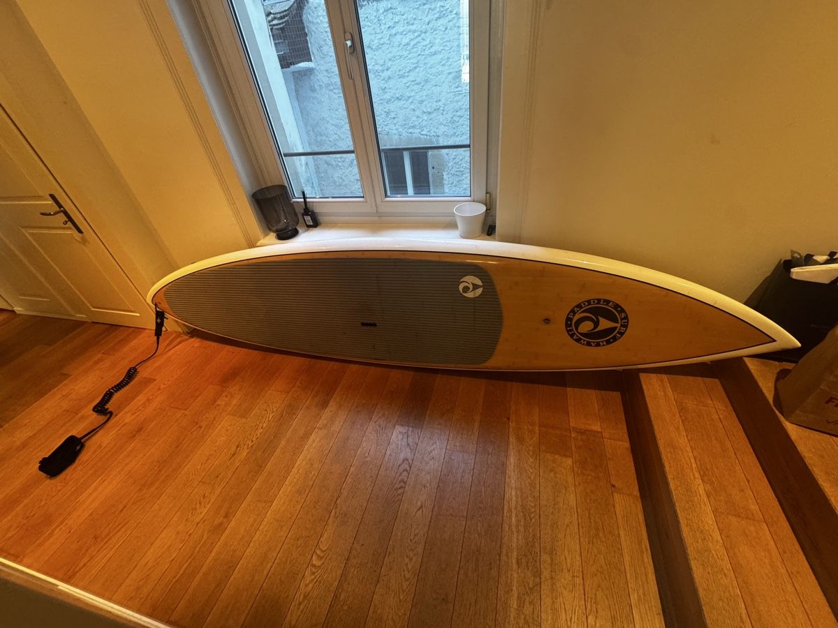 Tavole da surf e di nuoto: Stand Up Paddleboard (SUP) designes by Blane Chambers – Usato da Zürich venduto da kat_gdr7 8