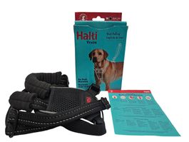 HALTI Training Nicht ziehen Geschirr
