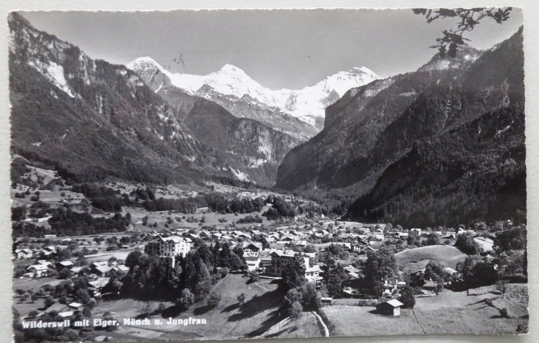 Cartoline postali: Wilderswil mit Eiger, Mönch u. Jungfrau – Usato da Fétigny venduto da Billy2miny