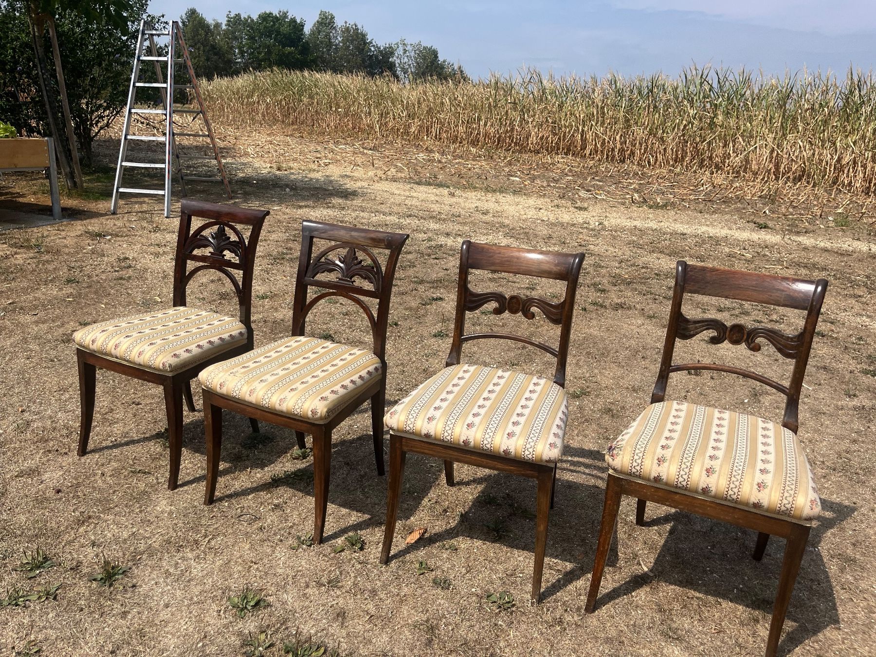 Stühle: 4 Stühle – Gebraucht aus Allmendingen b. BE von juair 7