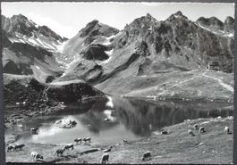 WANGS Pizolhütte mit Wildseelücke, Kühe, Stempel Hütte