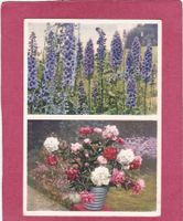Kitsch Blumen Dahlien Ausstellung 1936