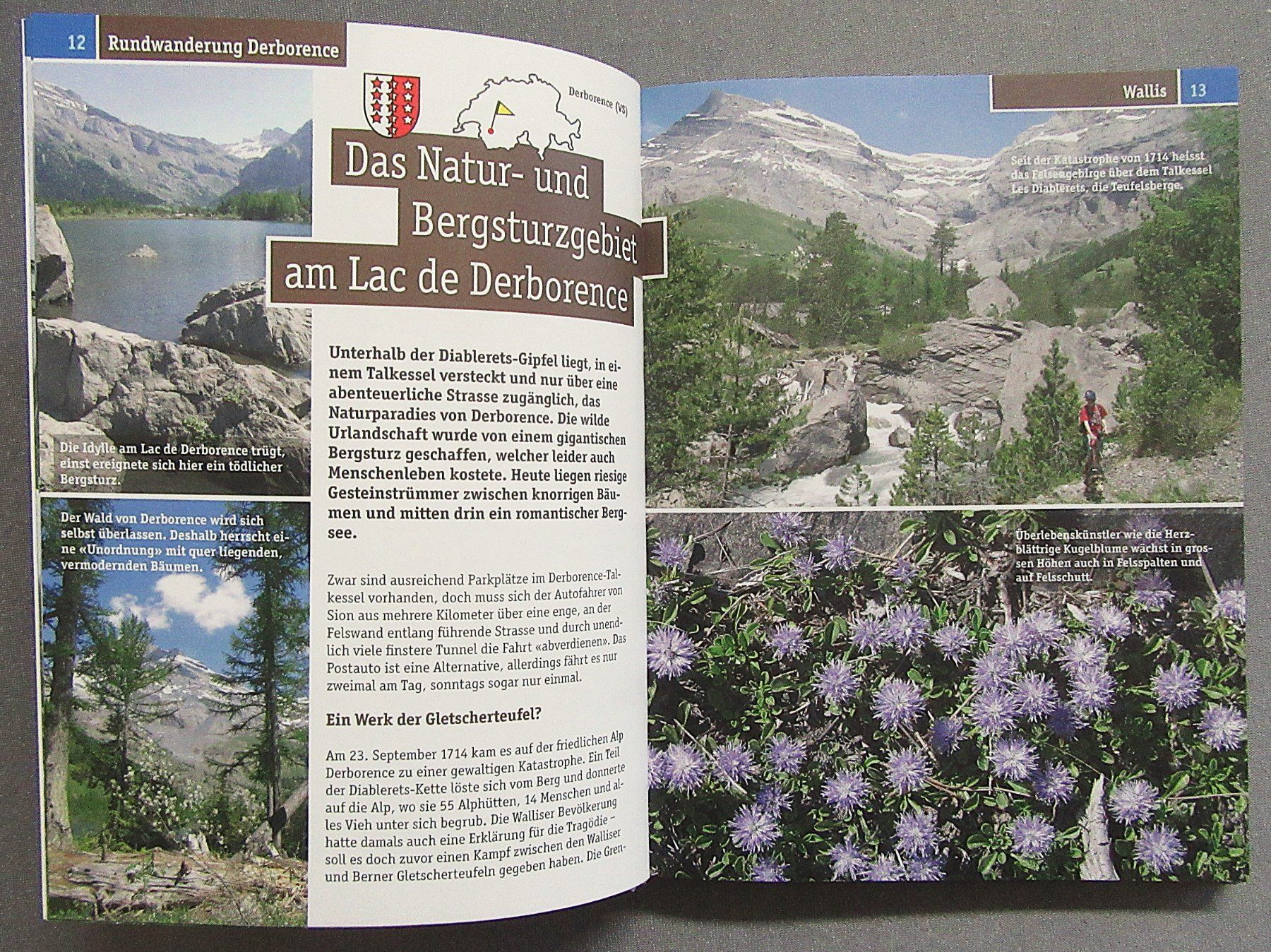 Libri: Die schönsten Höhenwege der Schweiz - Weltbild 2008 – Usato da Auenstein venduto da Padabimbim 3