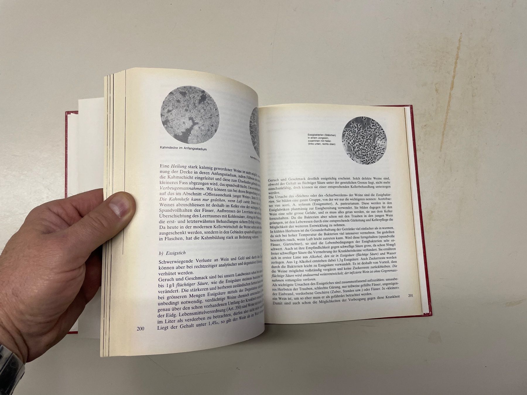 Libri: Buch: Das Weinbuch – Usato da Winterthur venduto da sportdisco2 5