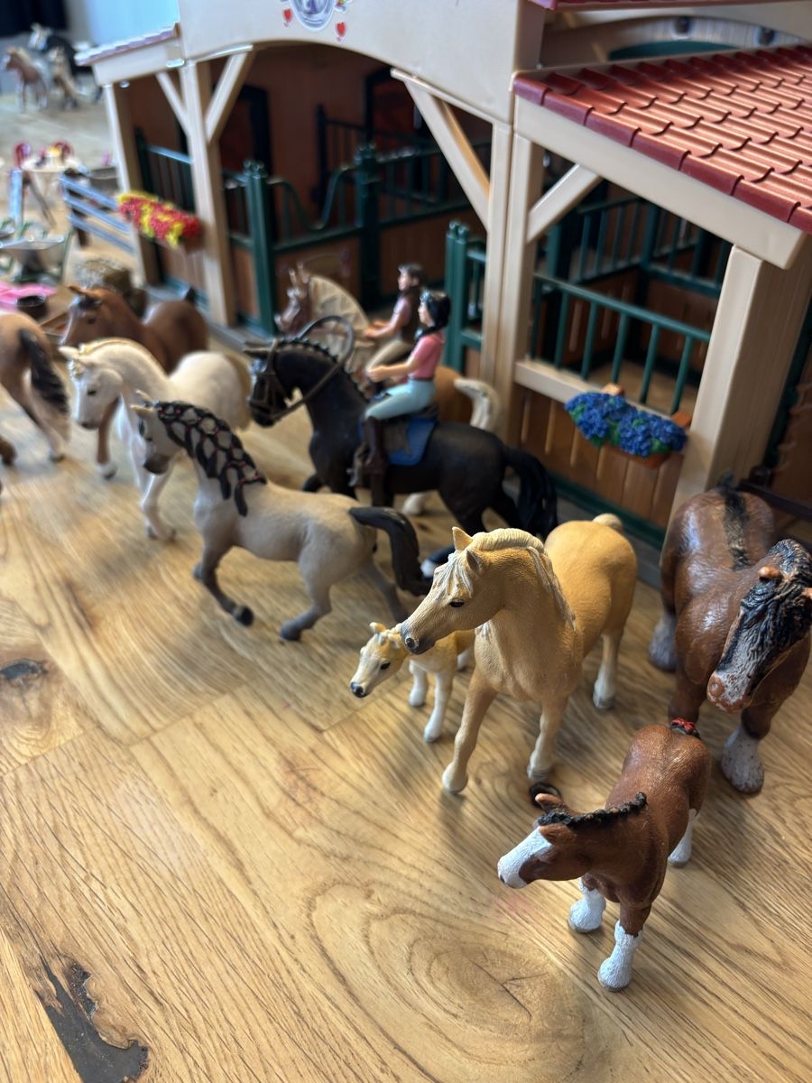 Schleich Spielzeuge: Schleich Pferdestall mit Zubehör  – Gebraucht aus Noflen BE von ManuelaMiro 2