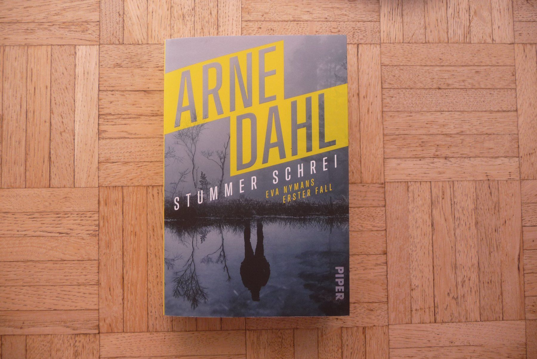 Libri: Arne Dahl, Stummer Schrei – Usato da Zürich venduto da Edje