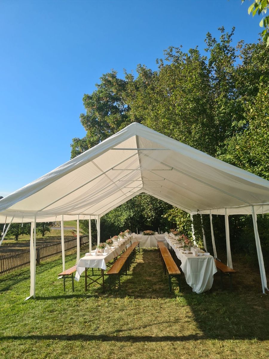 Gonser Tende & Padiglioni: Partyzelt Riven 5 x 10 – Usato da Wetzikon ZH venduto da whocareszh