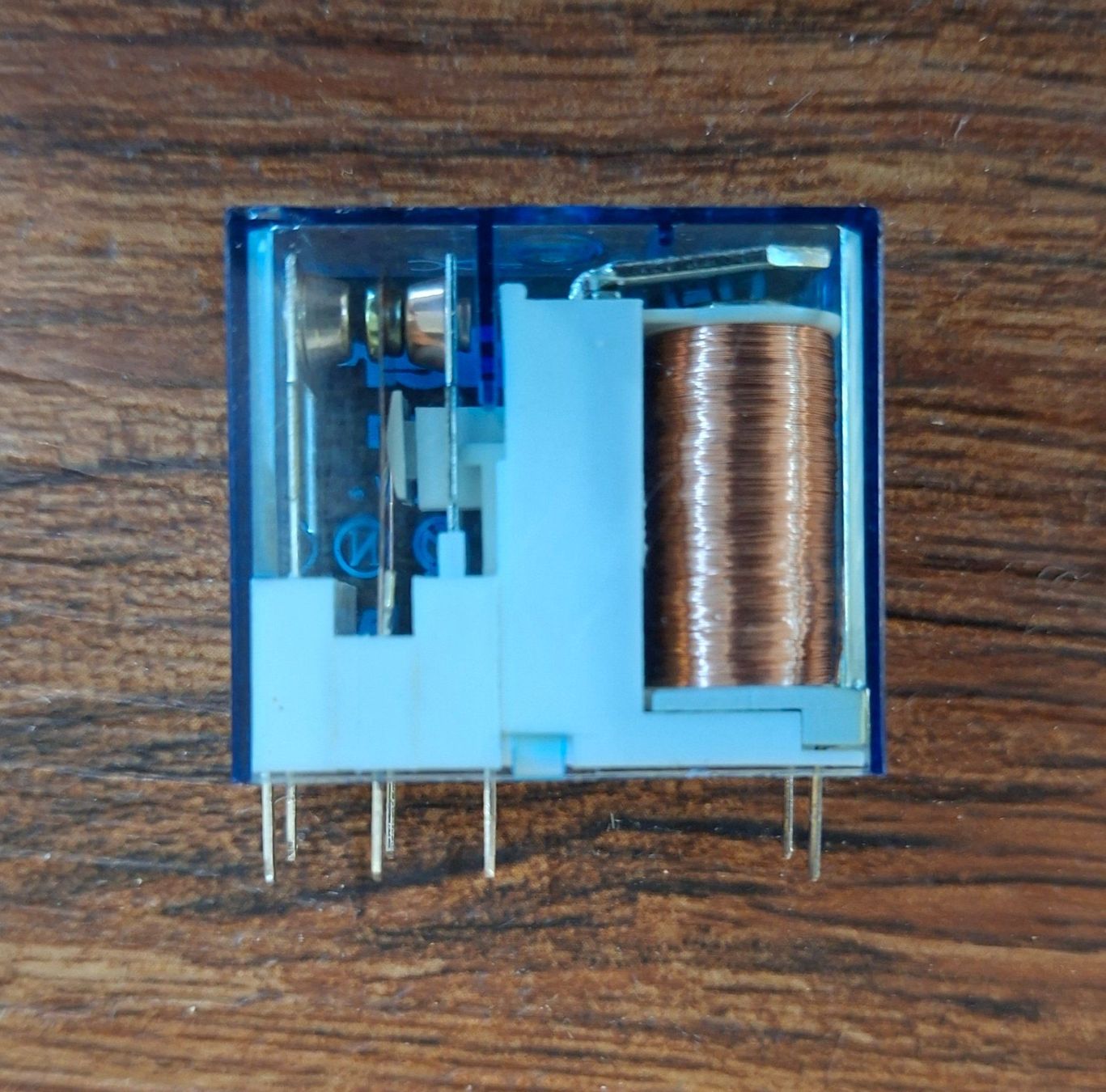 Componenti elettronici: Relais, Steck-Printrelais – Nuovo (secondo la descrizione) da Niedergösgen venduto da piccorx5